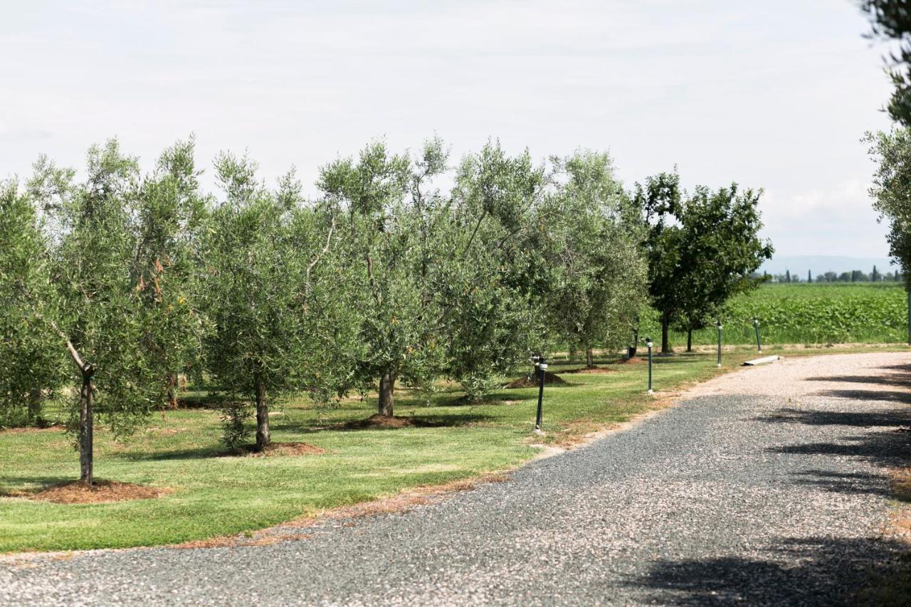 Agriturismo Valdo Grosseto Dış mekan fotoğraf