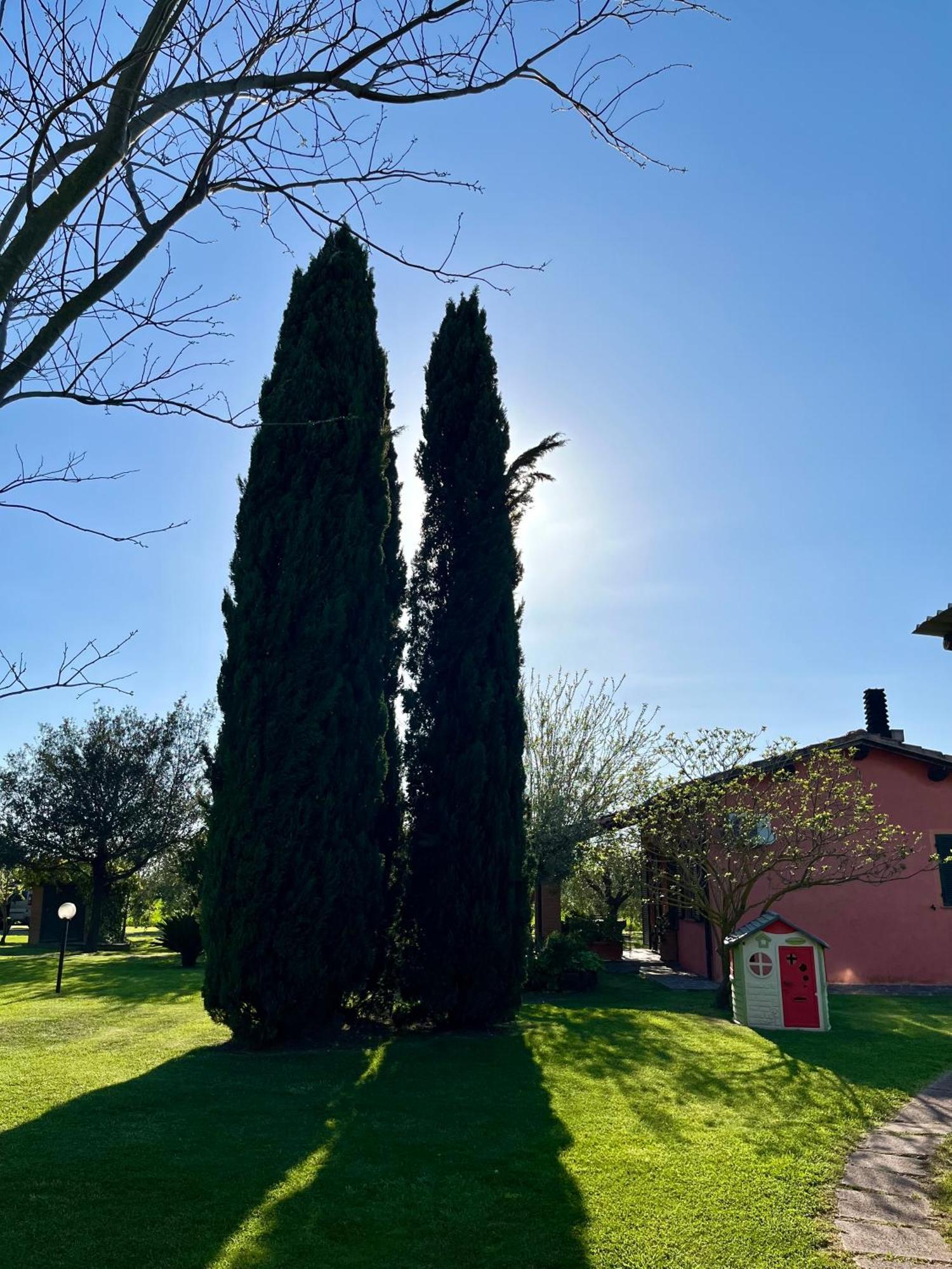 Agriturismo Valdo Grosseto Dış mekan fotoğraf