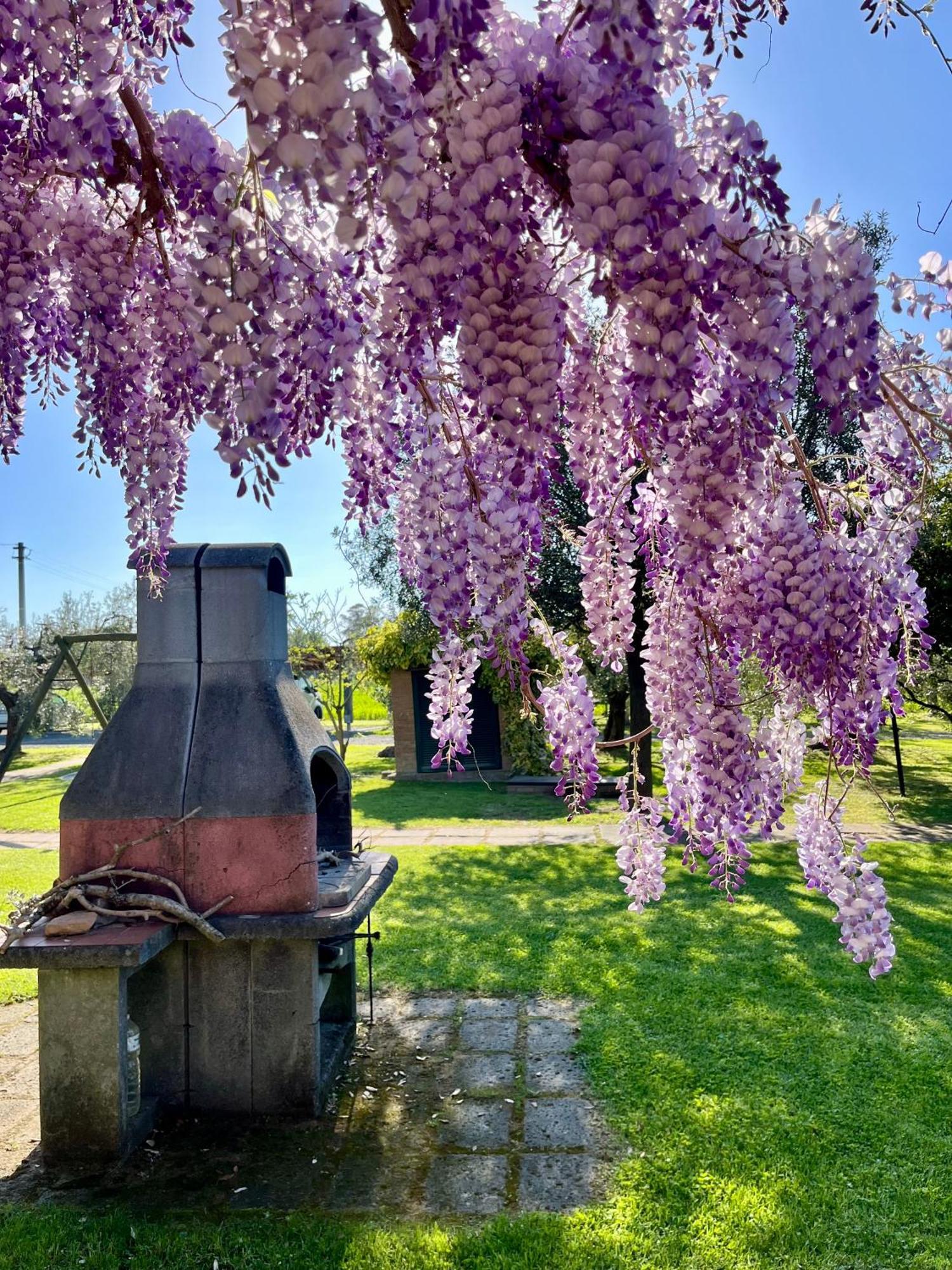 Agriturismo Valdo Grosseto Dış mekan fotoğraf