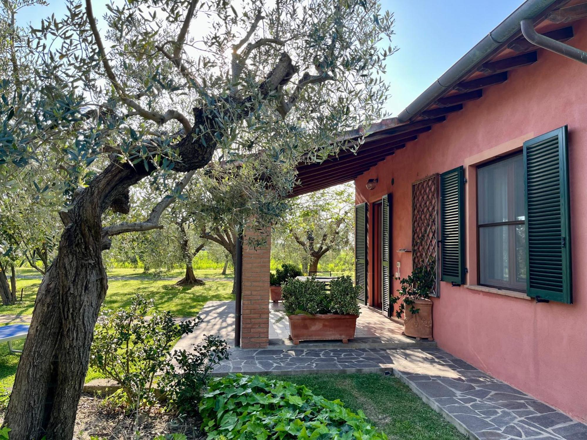Agriturismo Valdo Grosseto Dış mekan fotoğraf
