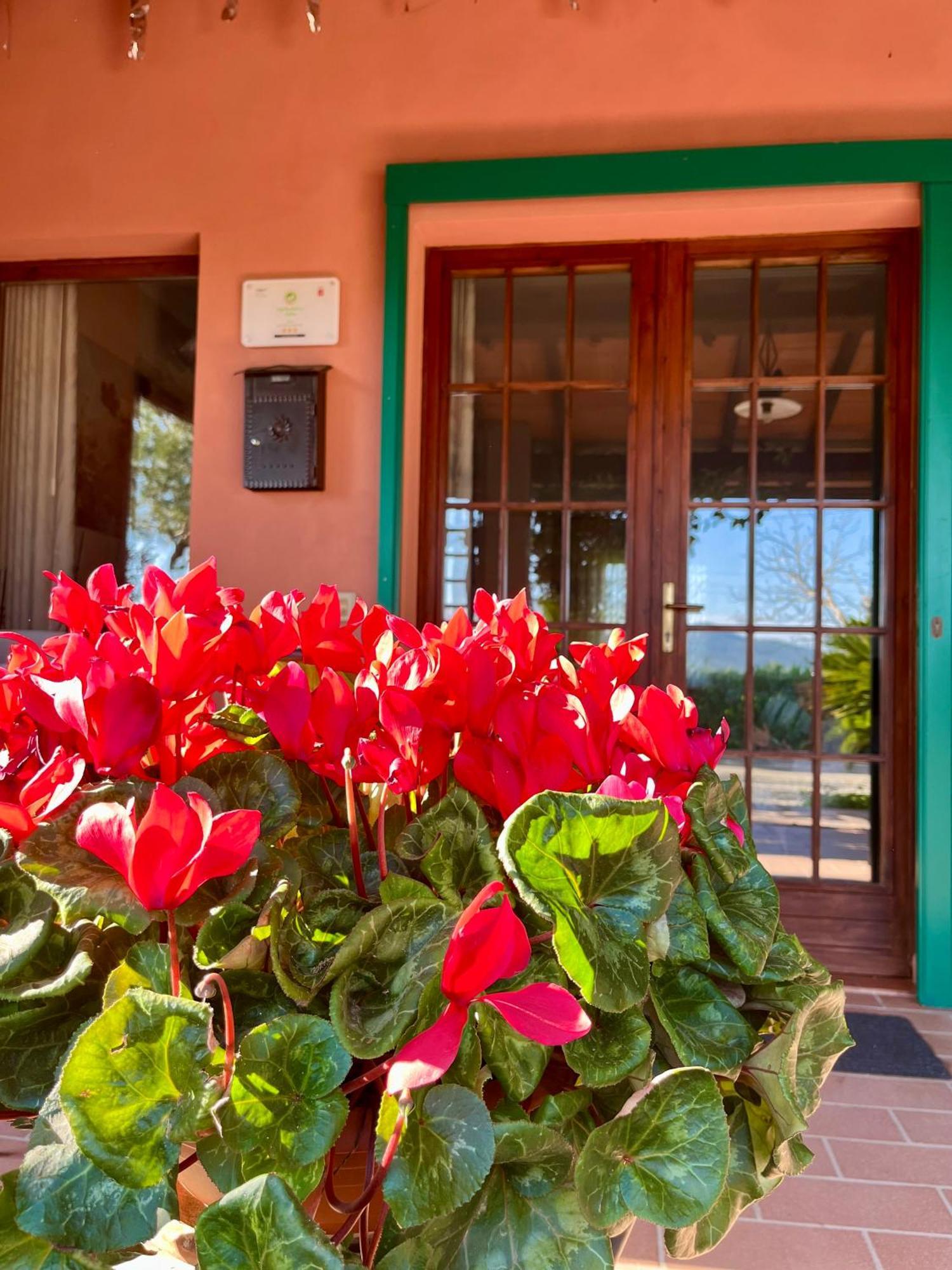 Agriturismo Valdo Grosseto Dış mekan fotoğraf