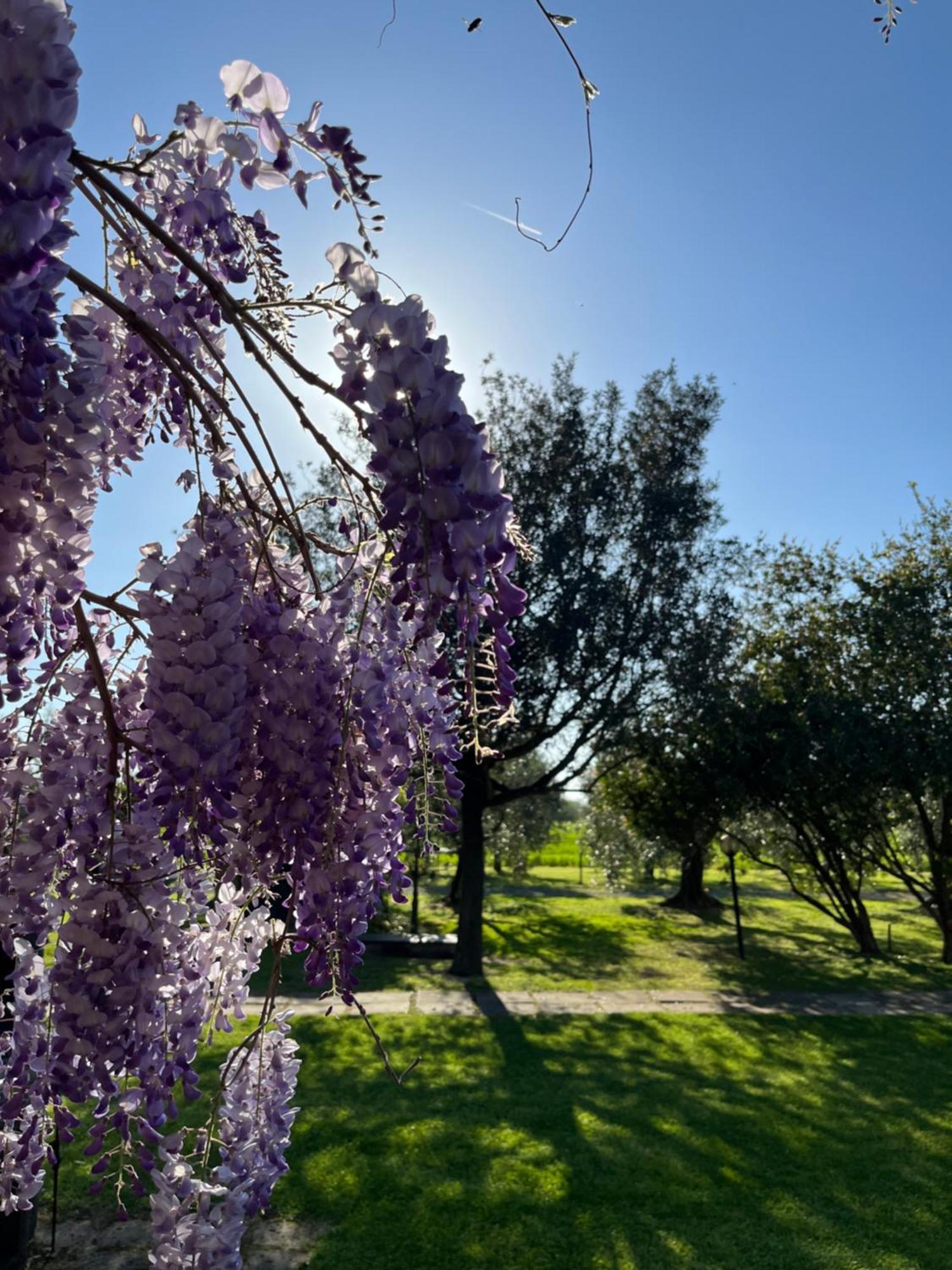 Agriturismo Valdo Grosseto Dış mekan fotoğraf