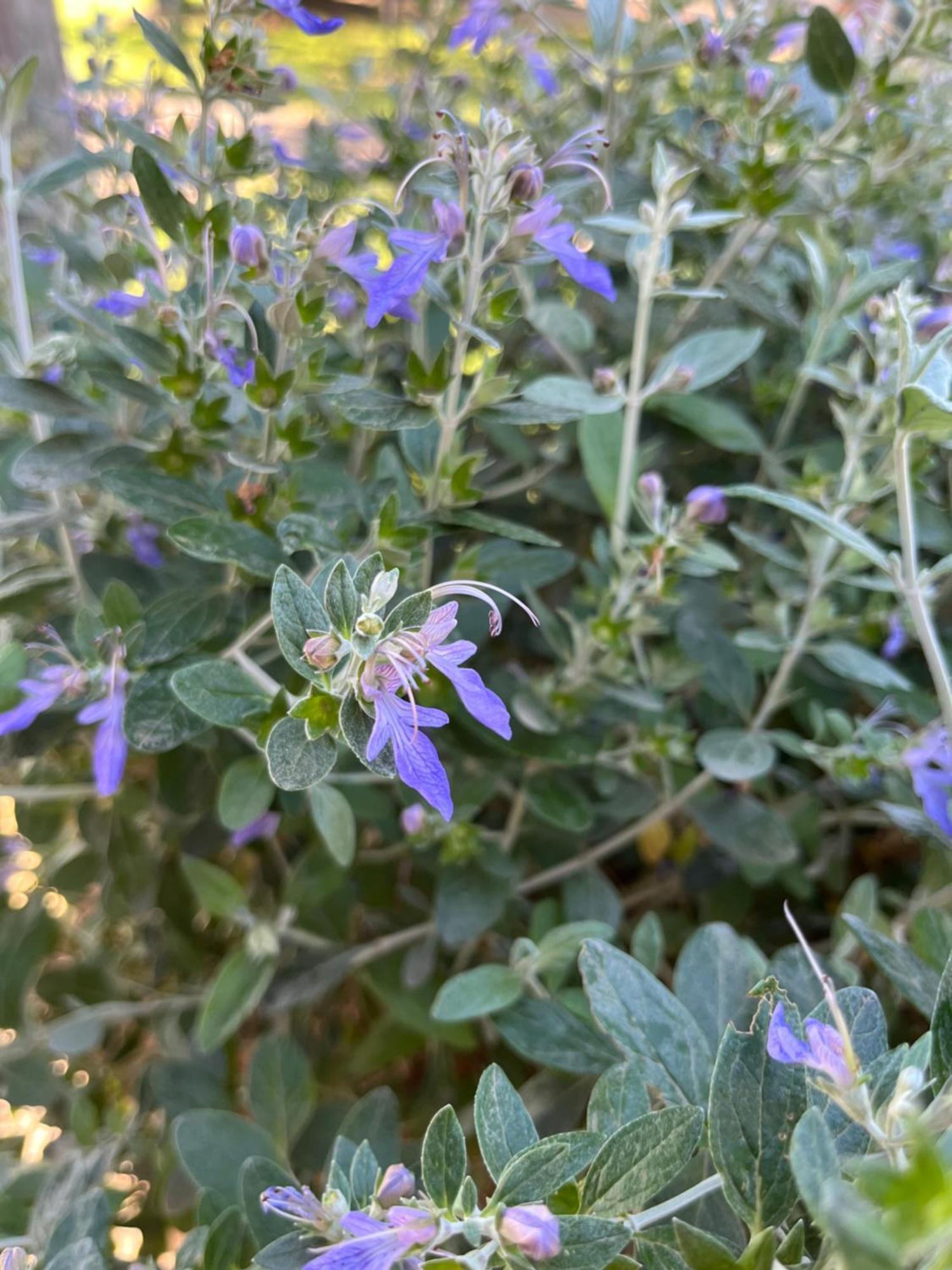 Agriturismo Valdo Grosseto Dış mekan fotoğraf